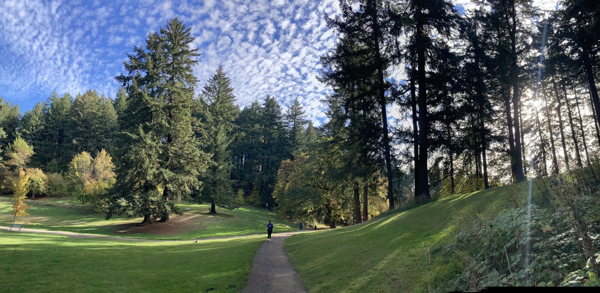 Panorama of an October sky on Mt. Tabor Panorama of an October sky on Mt. Tabor. Tall firs frame the top of the hill, above a bright green lawn. A spray of high altitude clouds in a deep blue sky