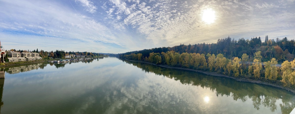 Late afternoon sun, mid fall, Willamette River looking south from the Sellwood Bridge Panorama looking south up the Willamette River from a bridge about 200' above the water. The glassy river reflects a strangely greenish blue sky speckled with high altitude clouds. On the east bank is a marina, houseboats, and a condo complex. On the west bank are hills forested with dark firs and a few red maples; along the shore poplars and cottonwoods are bright yellow with fall foliage. The afternoon sun is low in the sky and shines weakly through the veil of clouds