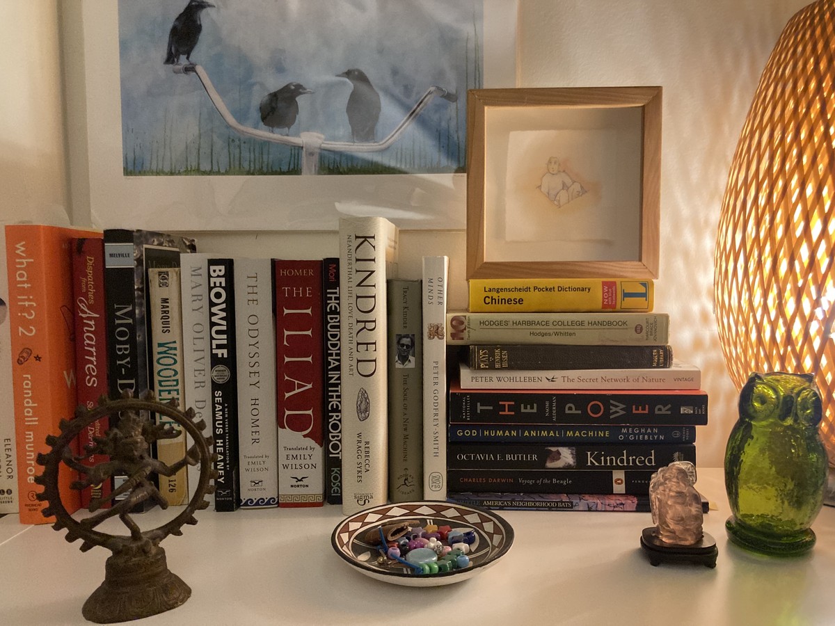Books on my bookshelf, Feb. 2025 Several stacks of books and knickknacks on top of a shelf