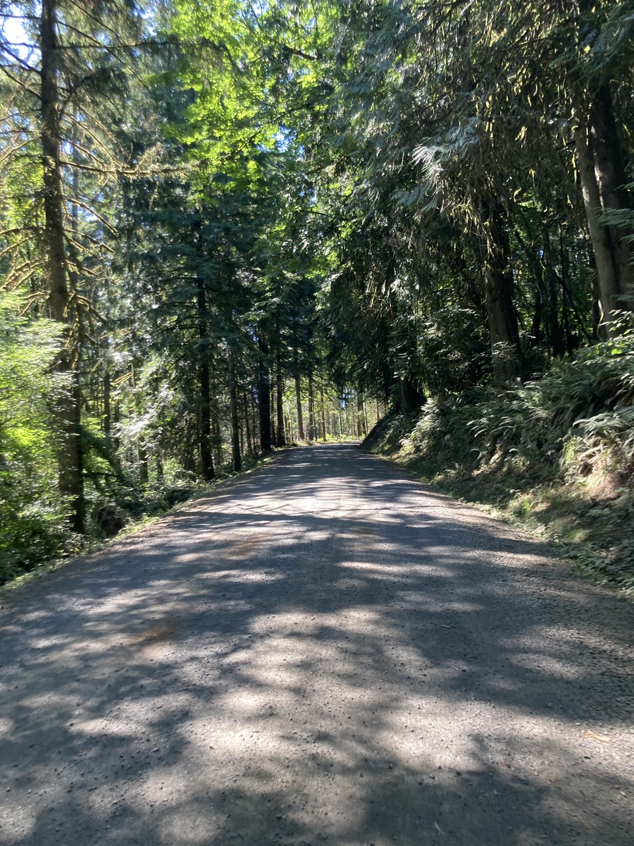 Mountain Home Road Mountain Home Road