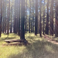 Bald Peak State Park