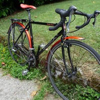 Soma Doublecross, 2010